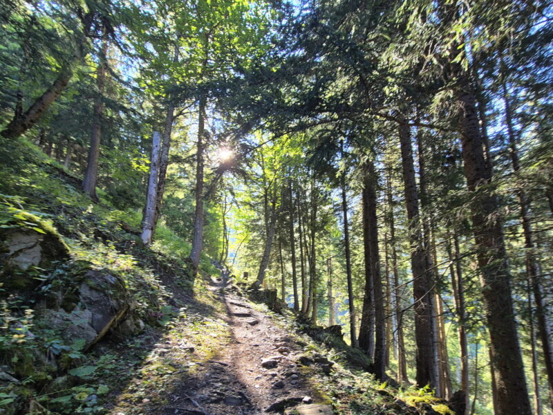 Montée Forêt. Lac de Soi, Val-d'Illiez, Bas-Valais.