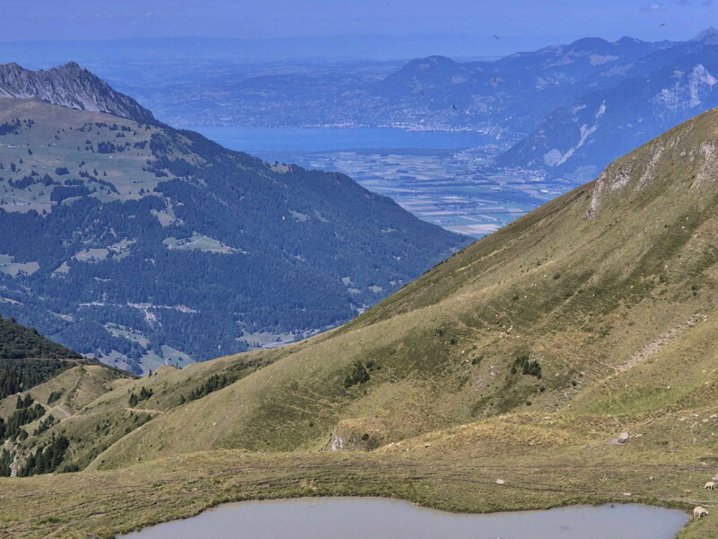Côté Ouest. Le zoom sur le Léman depuis le lac de Soi. Lac de Soi, Val-d'Illiez.