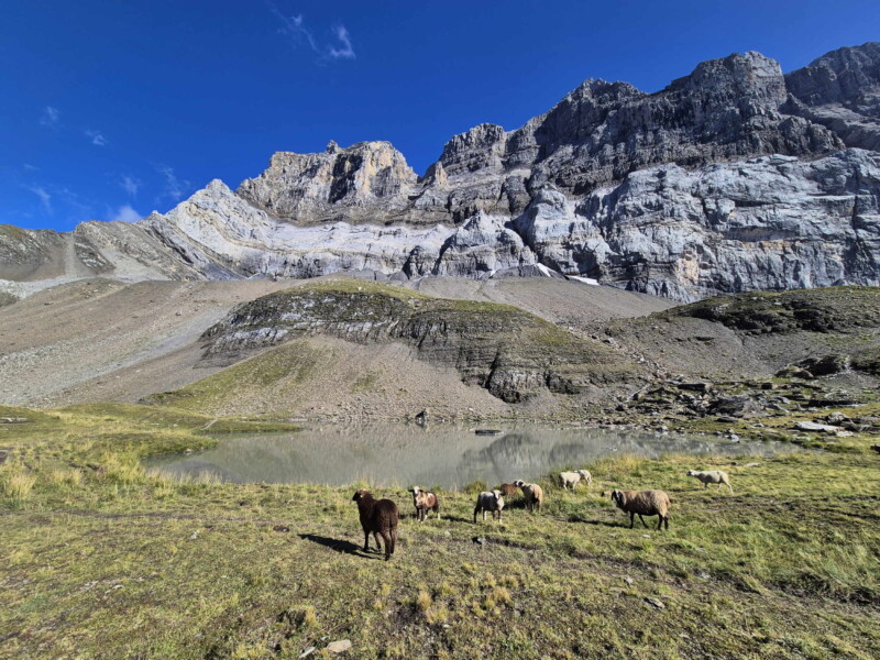 Côté Nord. Lac de Soi, Val-d'Illiez, Bas-Valais.