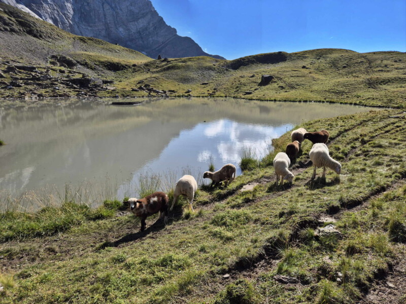 Côté Nord. Lac de Soi, Val-d'Illiez, Bas-Valais.