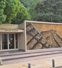 🎨🏺🚌 Fondation Pierre Gianadda – Martigny