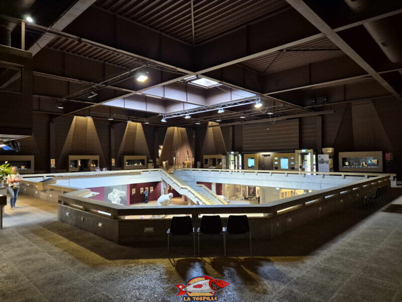 Musée gallo-romain