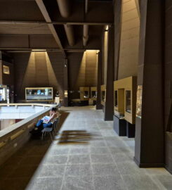 🎨🏺🚌 Fondation Pierre Gianadda – Martigny