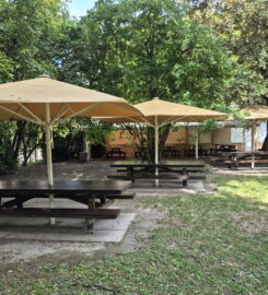 🎨🏺🚌 Fondation Pierre Gianadda – Martigny