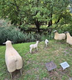 🎨🏺🚌 Fondation Pierre Gianadda – Martigny