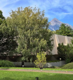 🎨🏺🚌 Fondation Pierre Gianadda – Martigny