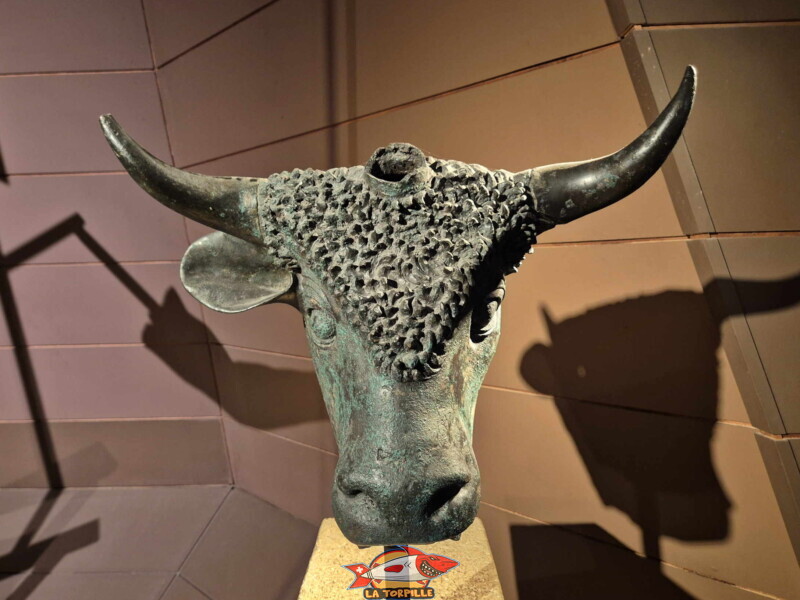 La fameuse tête du taureau tricorne découverte en 1883 à Martigny constitue la pièce maîtresse des célèbres Grands Bronzes d'Octodure.