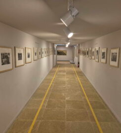🎨🏺🚌 Fondation Pierre Gianadda – Martigny