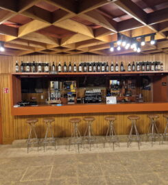 🎨🏺🚌 Fondation Pierre Gianadda – Martigny