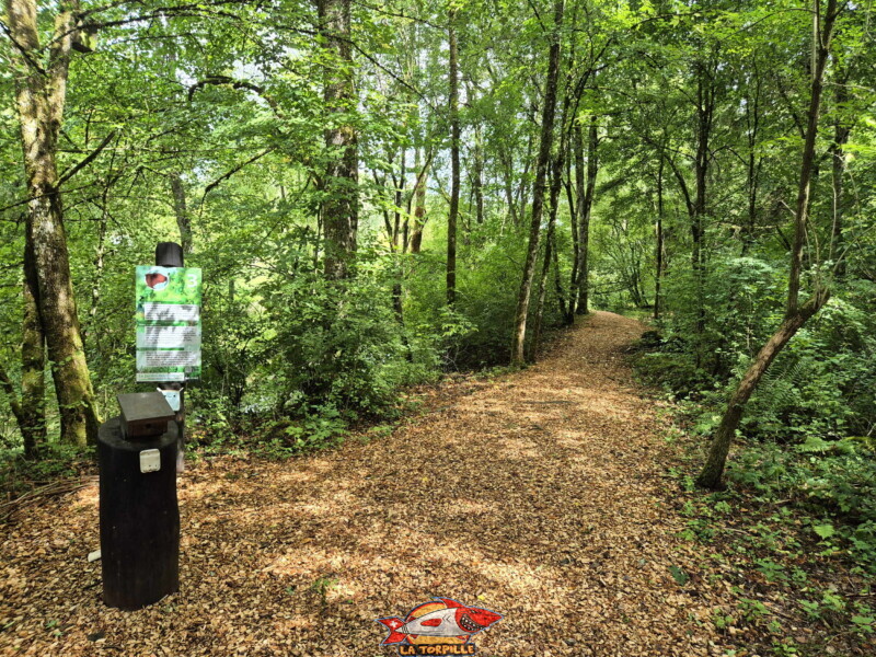 Jardin des mineurs. Mines d'Asphalte de la Presta - Val-de-Travers, canton de Neuchâtel.