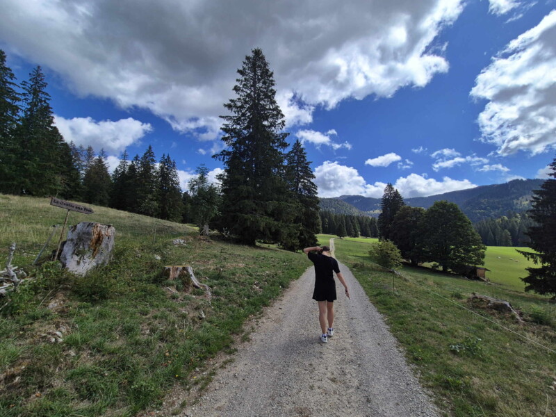 La route en graviers.