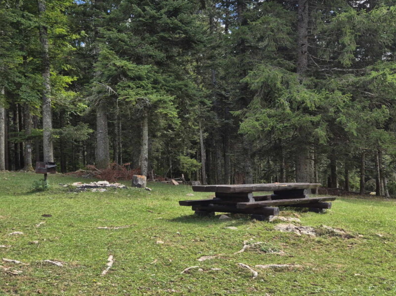 La belle place de pique-nique avec barbecue à l'entrée dans la forêt.