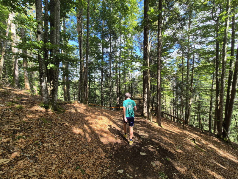 Le sentier s'enfonce ensuite dans la forêt.