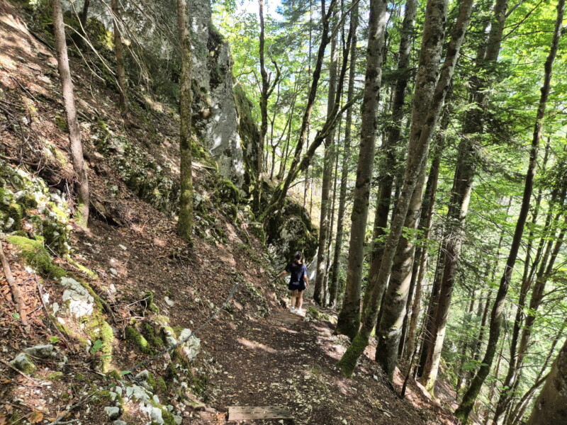 Pour arriver à la Grotte aux Fées, le chemin se termine par une descente très raide équipée d'une main-courante.