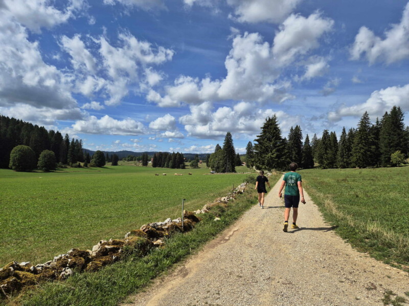 La route en graviers avec un paysage typique du Jura.