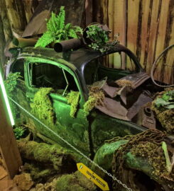 🚌 Musée Oldtimer Volkswagen – Val-de-Travers