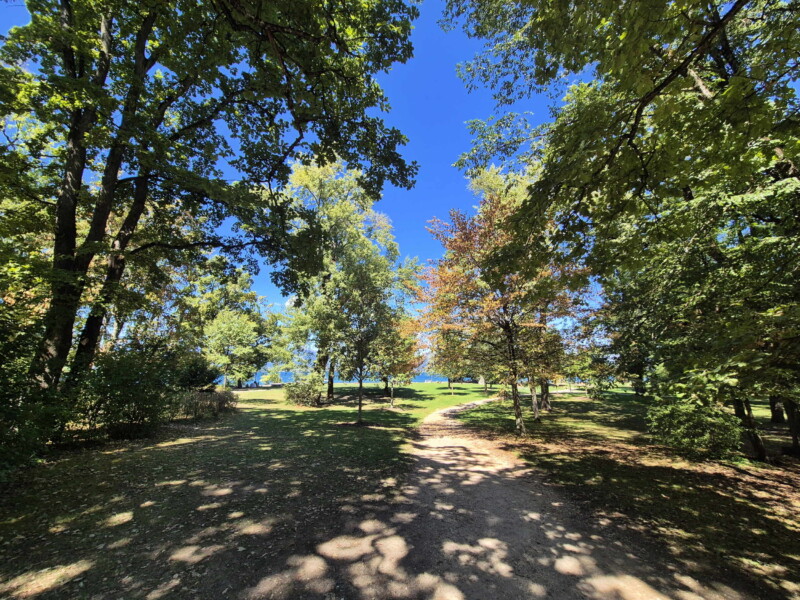 La zone d'arbres. Plage de la Savonnière, Collonges-Bellerive, Genève