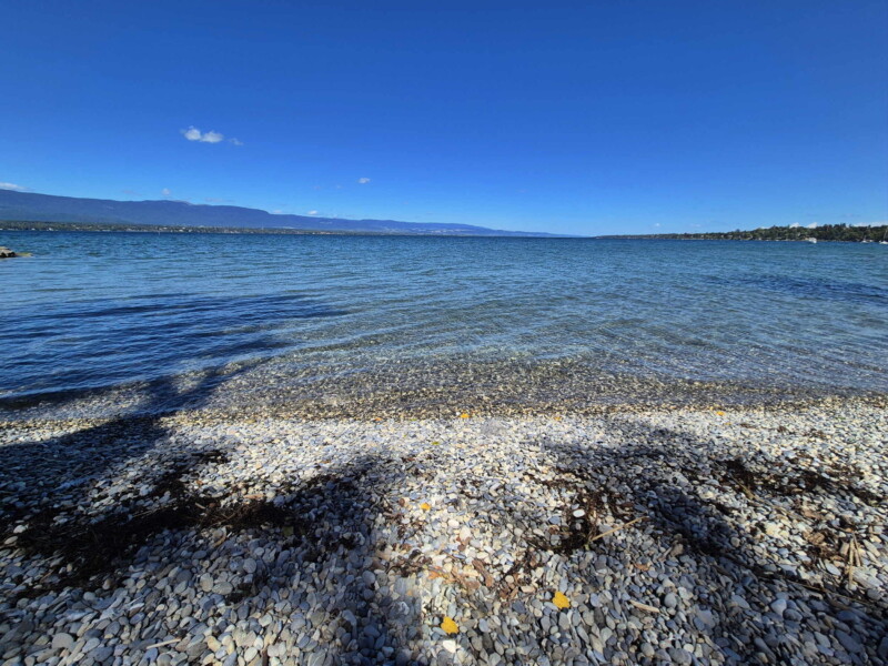 La zone de galets à l'est de la plage. Plage de la Savonnière, Collonges-Bellerive, Genève