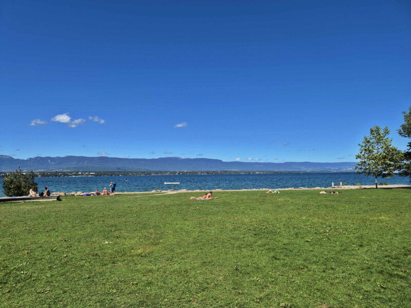 La zone de pelouse. Plage de la Savonnière, Collonges-Bellerive, Genève