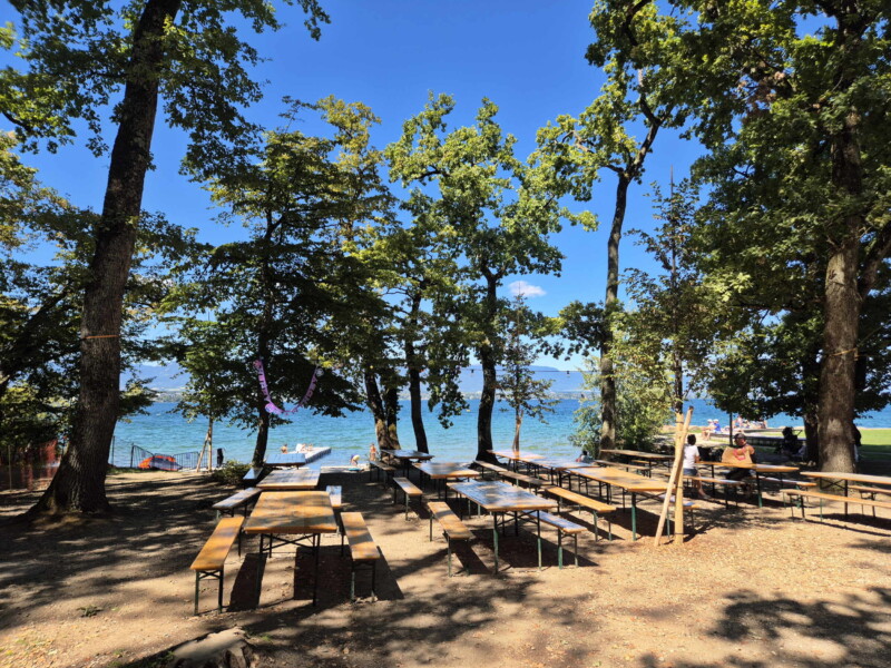 La zone de galets à l'ouest de la plage. Plage de la Savonnière, Collonges-Bellerive, Genève