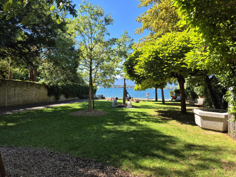 Pelouse, plage de la Nymphe