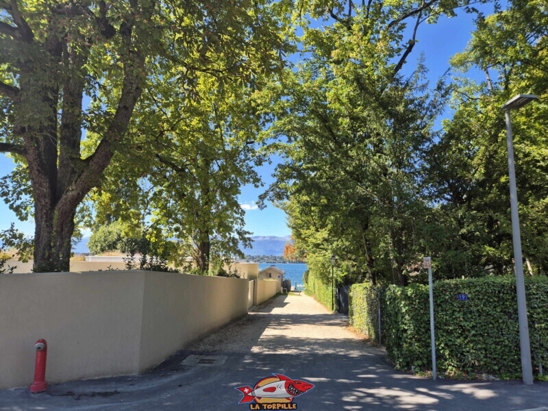 Le chemin du Port-Bleu et la plage au bout du chemin. Le chemin du Port-Bleu et la plage au bout du chemin. Plage du Port-Bleu - Collonge-Bellerive