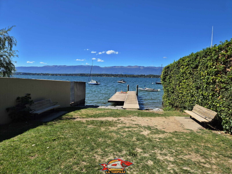 La toute petite pelouse. Plage du Port-Bleu - Collonge-Bellerive
