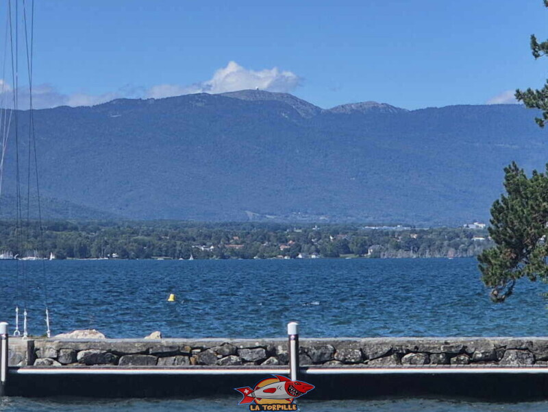 Le zoom sur la Dôle. Plage du Port-Bleu - Collonge-Bellerive