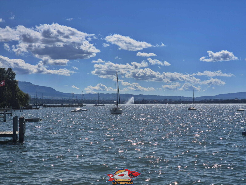 La vue sur la rade de Genève et le Salève sur la gauche. Plage du Port-Bleu - Collonge-Bellerive La vue sur la rade de Genève et le Salève sur la gauche. Plage du Port-Bleu - Collonge-Bellerive