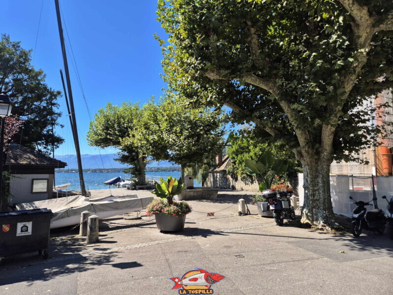 L'arrivée à la plage du port de Bellerive. Plage du Port de Bellerive - Collonge-Bellerive L'arrivée à la plage du port de Bellerive. Plage du Port de Bellerive - Collonge-Bellerive