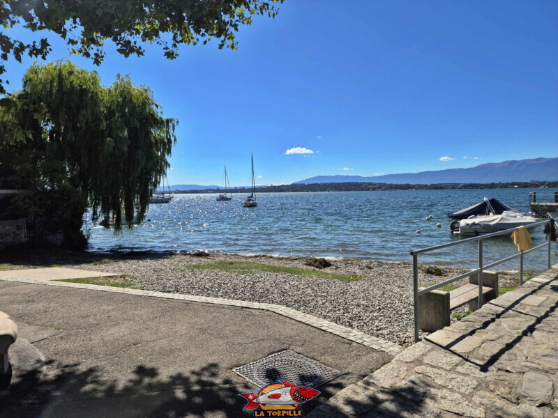 La grande zone de galets au sud du ponton. Plage du Port de Bellerive - Collonge-Bellerive