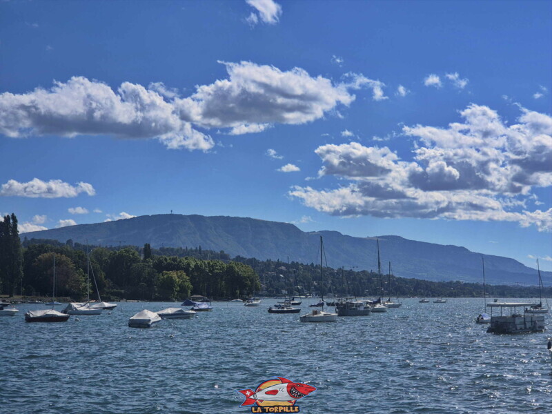 Le zoom sur le Salève.