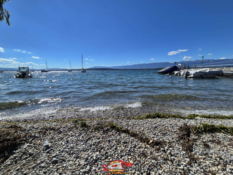 La grande zone de galets au sud du ponton. Plage du Port de Bellerive - Collonge-Bellerive