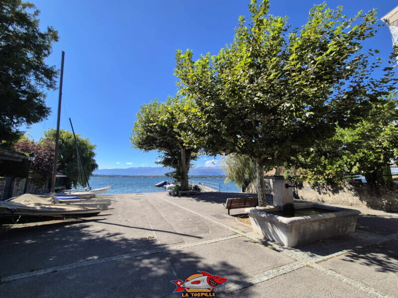 L'espace goudronné devant la plage du port de Bellerive. Plage du Port de Bellerive - Collonge-Bellerive