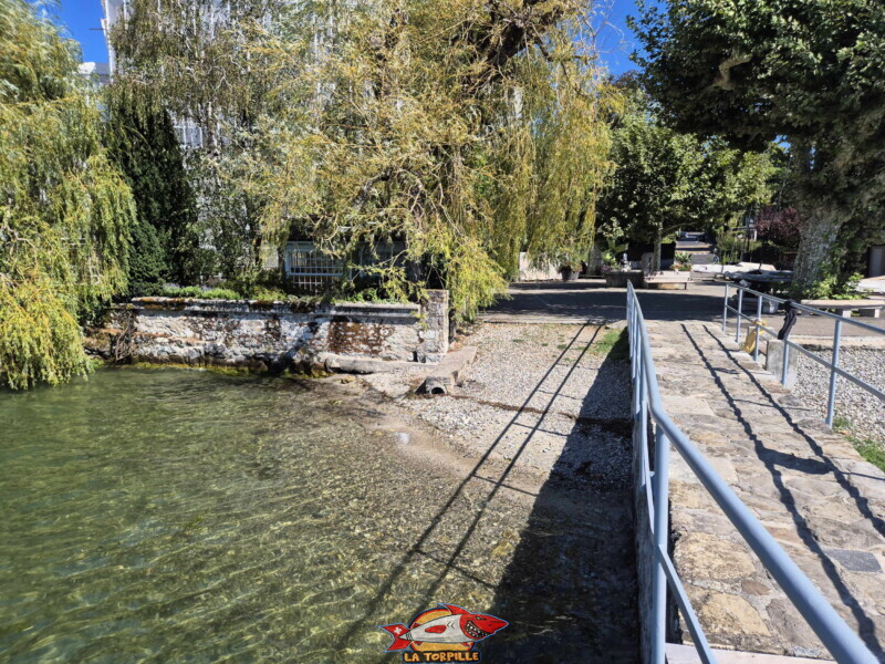 La toute petite zone de galets au nord du ponton. Plage du Port de Bellerive - Collonge-Bellerive