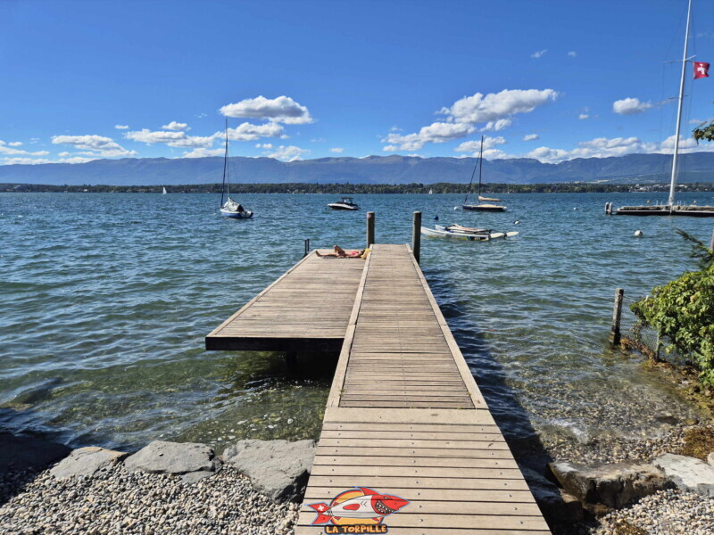 Ponton & Galets. Plage du Port-Bleu - Collonge-Bellerive