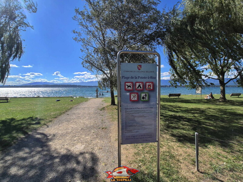 Pelouse. Plage de la Pointe-à-la-Bise - Collonge-Bellerive