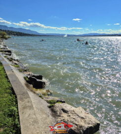 🏖️ Plage de la Pointe-à-la-Bise – Collonge-Bellerive