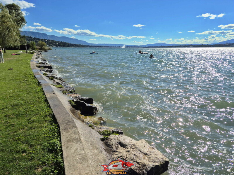 Les enrochements sur une longueur d'un peu moins de 100 mètres. Plage de la Pointe-à-la-Bise - Collonge-Bellerive
