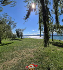 🏖️ Plage de la Pointe-à-la-Bise – Collonge-Bellerive