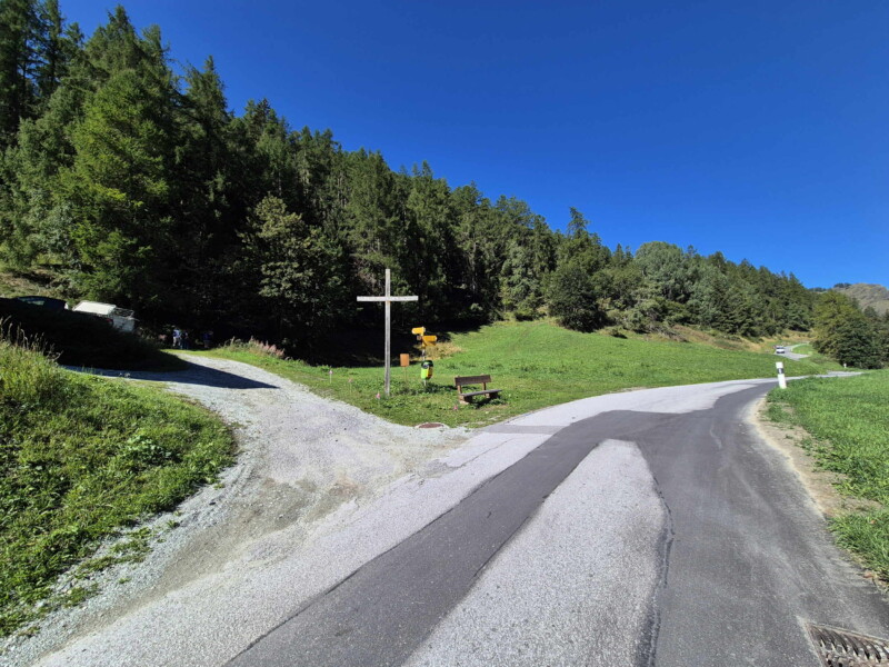 Montée forêt Gollié d'Arbey, val d'Hérens, Valais.