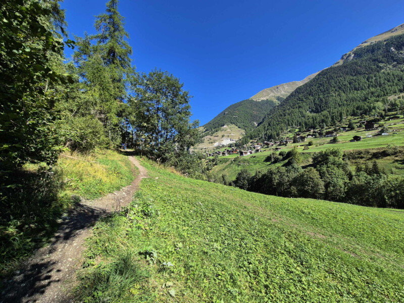 Montée forêt. Gollié d'Arbey, val d'Hérens, Valais.