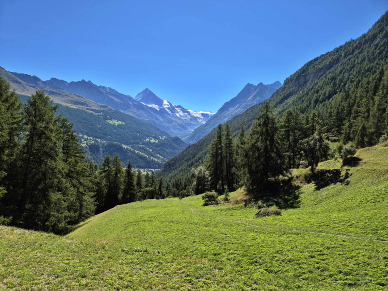 Chemin de retour. Gollié d'Arbey, val d'Hérens, Valais.