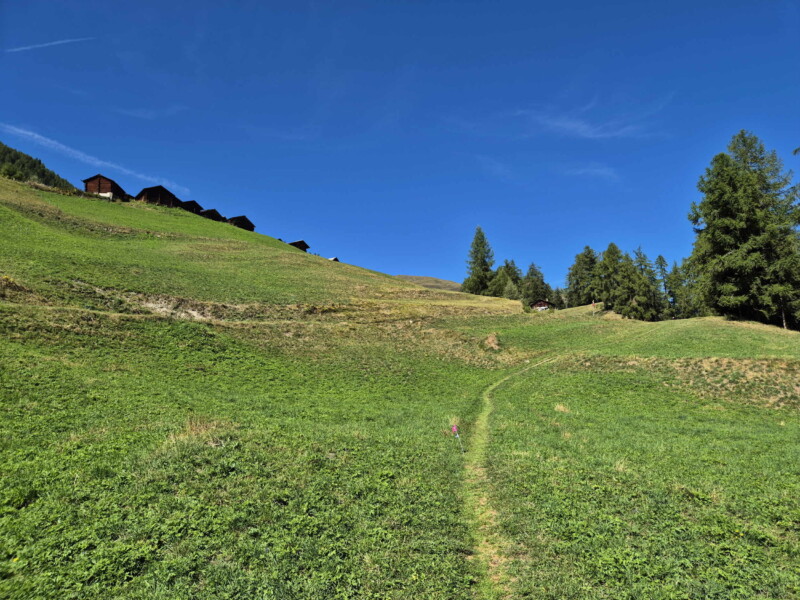 Montée Pâturages. Gollié d'Arbey, val d'Hérens, Valais.