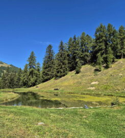 🚤 Le Gollié d’Arbey – Evolène