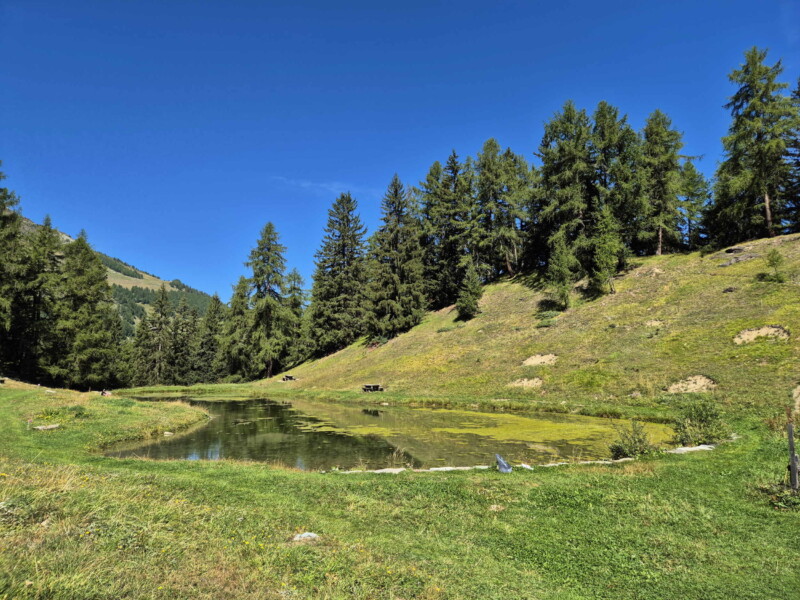 Côté Est. Gollié d'Arbey, val d'Hérens, Valais.