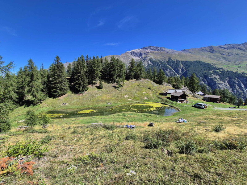 Côté Sud. Gollié d'Arbey, val d'Hérens, Valais.
