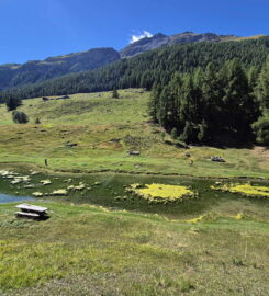 🚤 Le Gollié d’Arbey – Evolène
