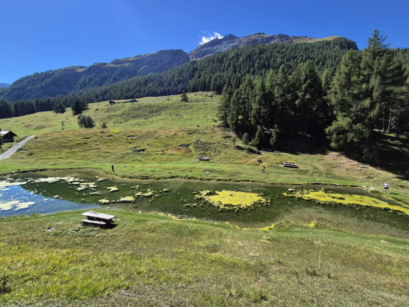 Côté Nord. Gollié d'Arbey, val d'Hérens, Valais.