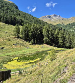 🚤 Le Gollié d’Arbey – Evolène